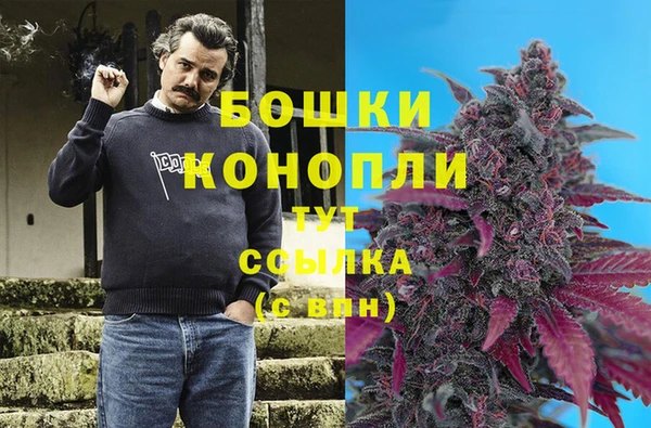 трава Балахна