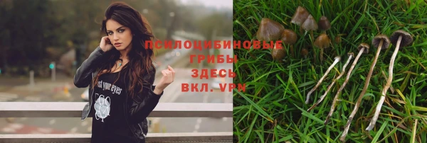 прущая мука Баксан
