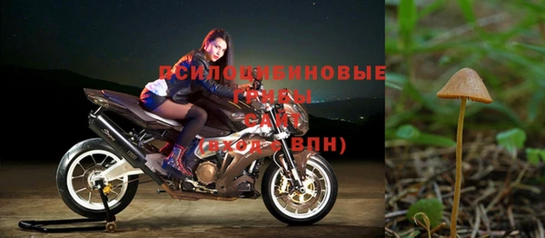 трава Балахна