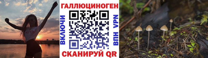 Галлюциногенные грибы ЛСД  Белинский 